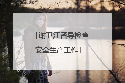 谢卫江督导检查安全生产工作