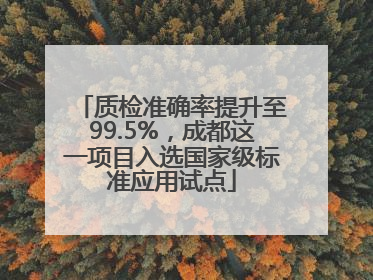 质检准确率提升至99.5%，成都这一项目入选国家级标准应用试点
