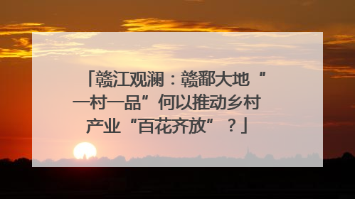 赣江观澜：赣鄱大地“一村一品”何以推动乡村产业“百花齐放”？