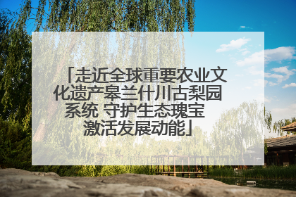 走近全球重要农业文化遗产皋兰什川古梨园系统 守护生态瑰宝 激活发展动能