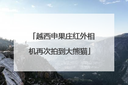 越西申果庄红外相机再次拍到大熊猫