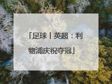 足球丨英超：利物浦庆祝夺冠