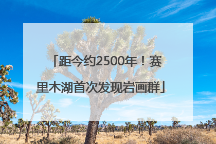 距今约2500年！赛里木湖首次发现岩画群
