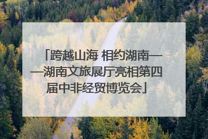 跨越山海 相约湖南——湖南文旅展厅亮相第四届中非经贸博览会