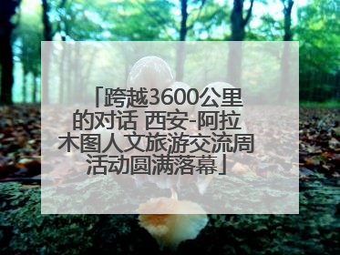 跨越3600公里的对话 西安-阿拉木图人文旅游交流周活动圆满落幕