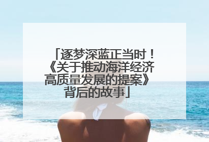 逐梦深蓝正当时！《关于推动海洋经济高质量发展的提案》背后的故事