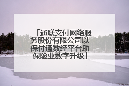 通联支付网络服务股份有限公司以保付通数经平台助保险业数字升级