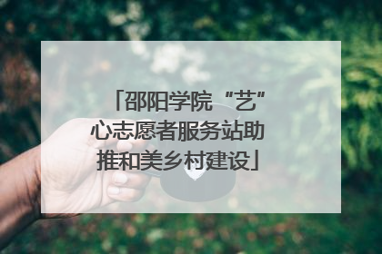邵阳学院“艺”心志愿者服务站助推和美乡村建设