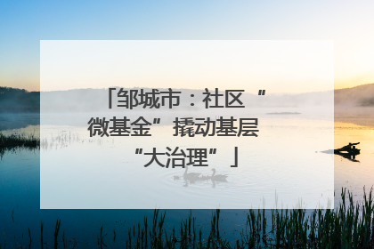 邹城市：社区“微基金”撬动基层“大治理”