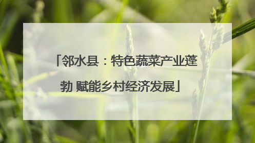 邻水县：特色蔬菜产业蓬勃 赋能乡村经济发展