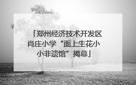郑州经济技术开发区肖庄小学“面上生花小小非遗馆”揭幕
