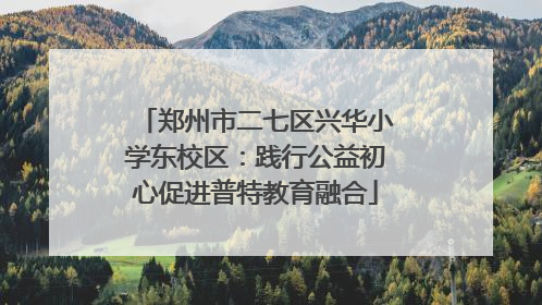 郑州市二七区兴华小学东校区：践行公益初心促进普特教育融合