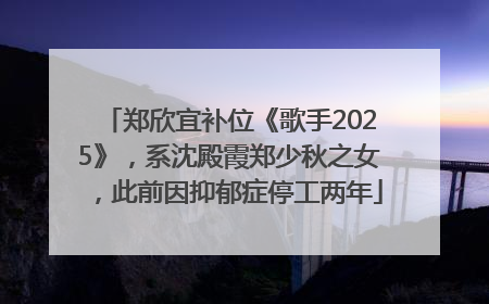 郑欣宜补位《歌手2025》，系沈殿霞郑少秋之女，此前因抑郁症停工两年