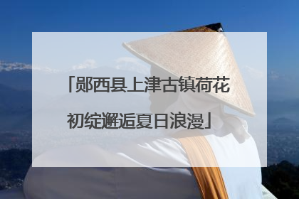郧西县上津古镇荷花初绽邂逅夏日浪漫