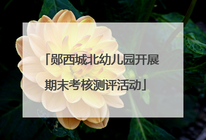 郧西城北幼儿园开展期末考核测评活动