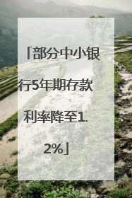 部分中小银行5年期存款利率降至1.2%
