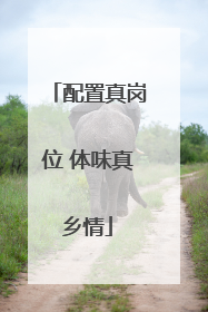 配置真岗位 体味真乡情