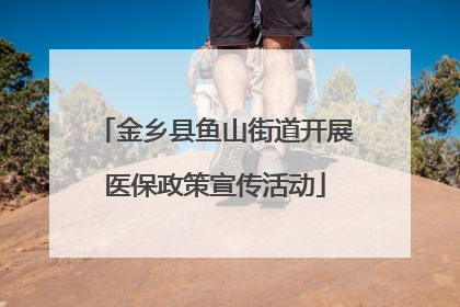 金乡县鱼山街道开展医保政策宣传活动