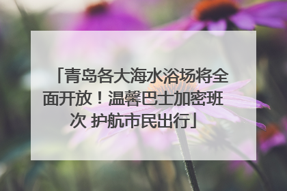 青岛各大海水浴场将全面开放！温馨巴士加密班次 护航市民出行