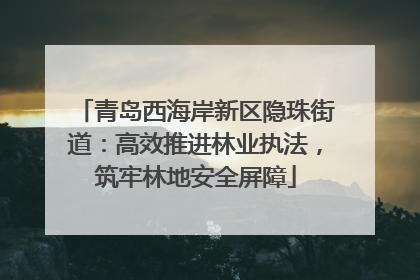 青岛西海岸新区隐珠街道：高效推进林业执法，筑牢林地安全屏障