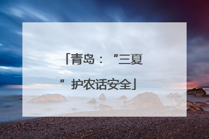 青岛：“三夏”护农话安全