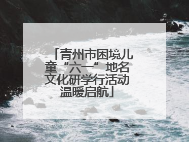 青州市困境儿童“六一”地名文化研学行活动温暖启航