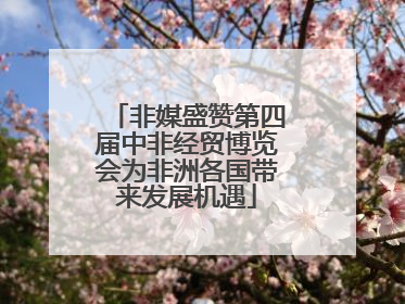 非媒盛赞第四届中非经贸博览会为非洲各国带来发展机遇