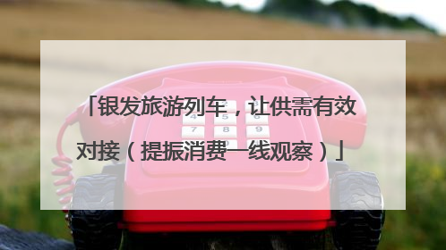 银发旅游列车，让供需有效对接（提振消费一线观察）