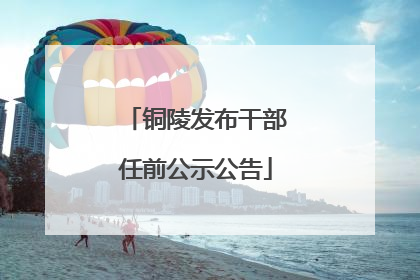 铜陵发布干部任前公示公告