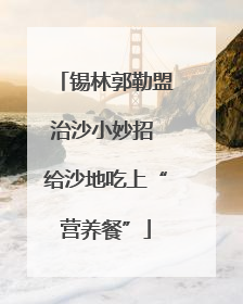 锡林郭勒盟治沙小妙招 给沙地吃上“营养餐”