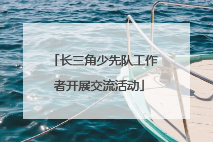 长三角少先队工作者开展交流活动