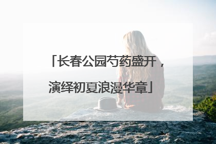 长春公园芍药盛开，演绎初夏浪漫华章