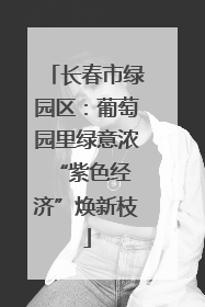 长春市绿园区：葡萄园里绿意浓 “紫色经济”焕新枝