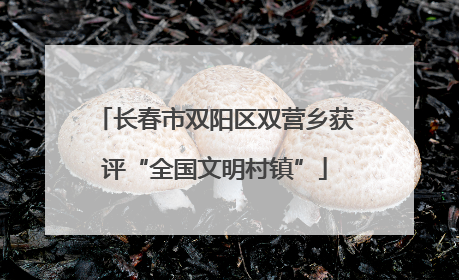 长春市双阳区双营乡获评“全国文明村镇”