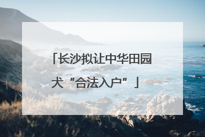 长沙拟让中华田园犬“合法入户”
