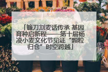 镰刀割麦话传承 基因育种启新程——第十届杨凌小麦文化节见证“颗粒归仓”时空跨越