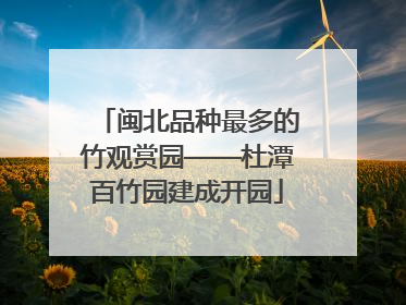 闽北品种最多的竹观赏园——杜潭百竹园建成开园