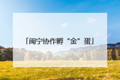 闽宁协作孵“金”蛋