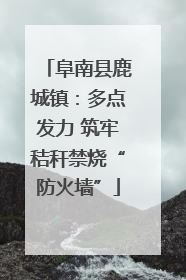 阜南县鹿城镇：多点发力 筑牢秸秆禁烧“防火墙”