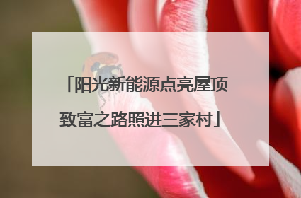 阳光新能源点亮屋顶 致富之路照进三家村