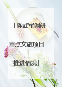 陈武军调研重点文旅项目推进情况