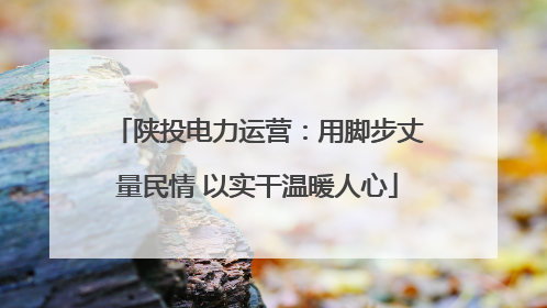 陕投电力运营：用脚步丈量民情 以实干温暖人心