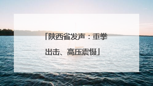 陕西省发声：重拳出击、高压震慑