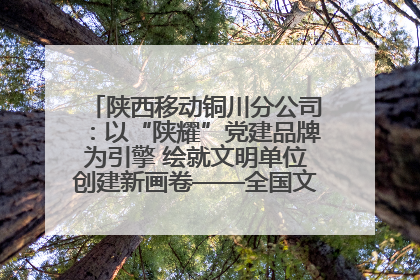 陕西移动铜川分公司：以“陕耀”党建品牌为引擎 绘就文明单位创建新画卷——全国文明单位创建纪实