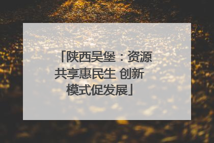 陕西吴堡：资源共享惠民生 创新模式促发展