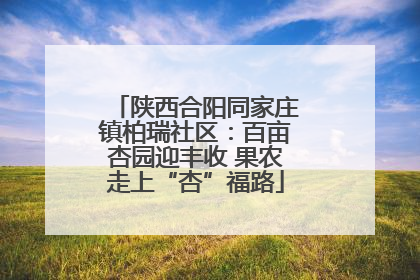陕西合阳同家庄镇柏瑞社区：百亩杏园迎丰收 果农走上“杏”福路