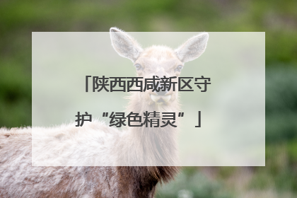 陕西西咸新区守护“绿色精灵”