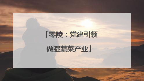 零陵：党建引领 做强蔬菜产业
