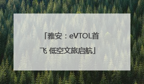 雅安：eVTOL首飞 低空文旅启航