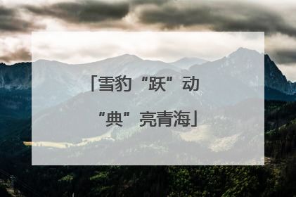 雪豹“跃”动 “典”亮青海